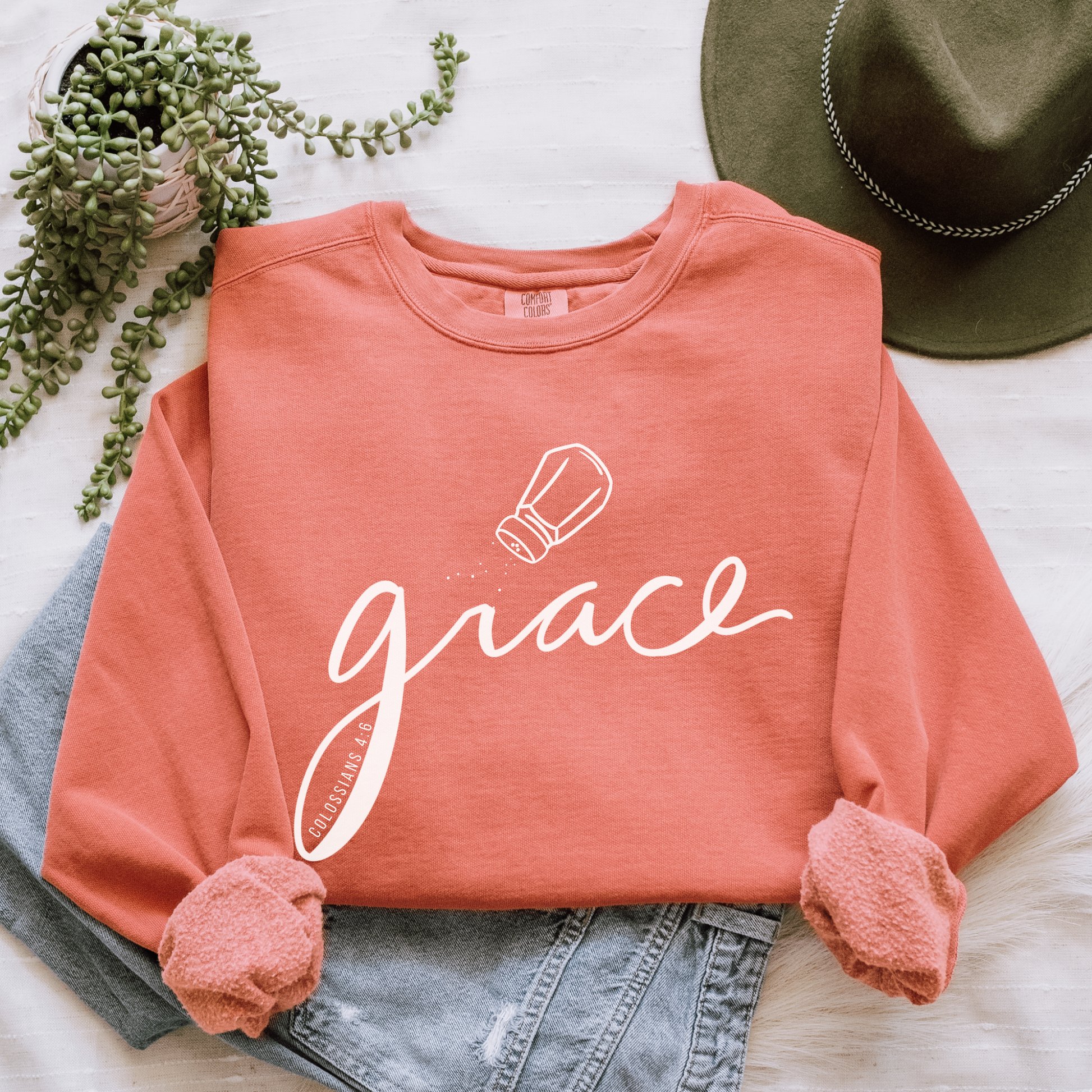 Salted Grace Colossians 4:6 Christian Sweatshirt Comfort Colors